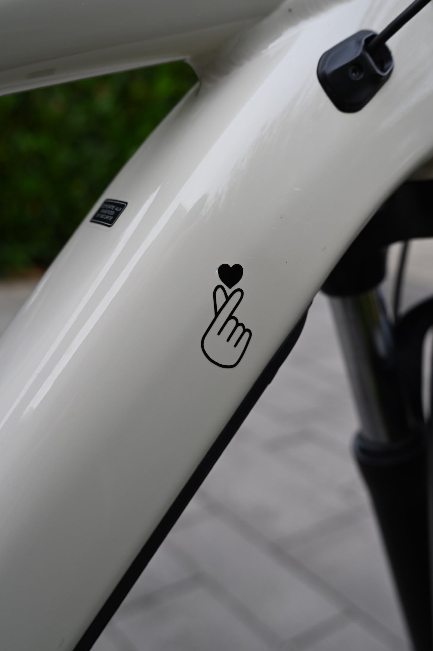 Vinylsticker "Fingerherz"